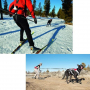 /canicross-jogging/kit-canicross-ski-joering-ruffwear-ceinture-baudrier-harnais-p-4002608.1-600x600.jpg
