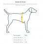 /canicross-jogging/kit-canicross-ski-joering-ruffwear-ceinture-baudrier-harnais-p-4002608.2-600x600.jpg
