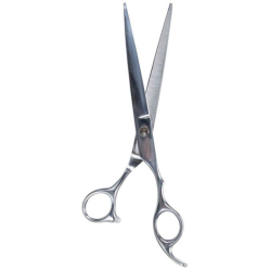 Ciseaux professionnels de tonte