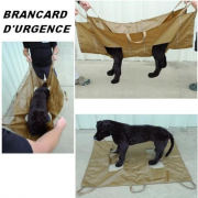 Civière d'urgence pour chiens de gabarit Berger Allemand et Malinois