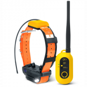 Collier de repérage GPS et de dressage PATHFINDER2