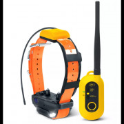Collier de repérage GPS et de dressage PATHFINDER2