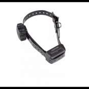 Collier Éducation Supplémentaire – Messages Vocaux – Sans Stimulation – Étanche