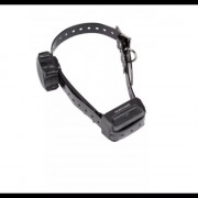 Collier Éducation Supplémentaire – Messages Vocaux – Sans Stimulation – Étanche