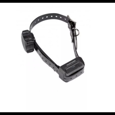 Collier Éducation Supplémentaire – Messages Vocaux – Sans Stimulation – Étanche
