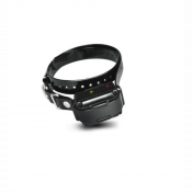 Collier supplémentaire pour le système d'éducation 