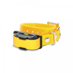 Collier supplémentaire pour petits chiens