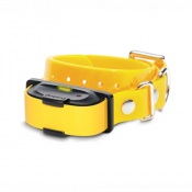 Collier supplémentaire pour petits chiens
