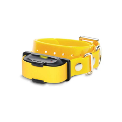 Collier supplémentaire pour petits chiens