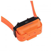 Ensemble Éducation Canine CANICOM R‑500 – Dressage à Distance – Double Collier Inhibable