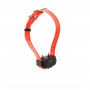 Collier Dressage CANICOM Supplémentaire – Multi-Chien – Étanche – Autonomie Longue