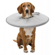 Collerette de protection pour chiens et chats - 6 tailles