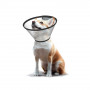/colliers-post-operatoires-/collerettes-veterinaires-en-plastique-p-4004145.1-600x600.jpg
