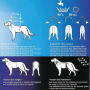 /colliers-post-operatoires-/systeme-de-contention-propal-alternative-a-la-collerette-pour-chiens-et-chats-p-4002038.2-600x600.jpg