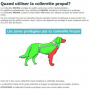 /colliers-post-operatoires-/systeme-de-contention-propal-alternative-a-la-collerette-pour-chiens-et-chats-p-4002038.3-600x600.jpg