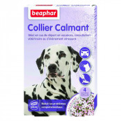 Collier clamant pour chiens