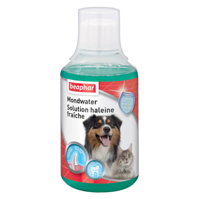 Solution buccale pour chiens et chats