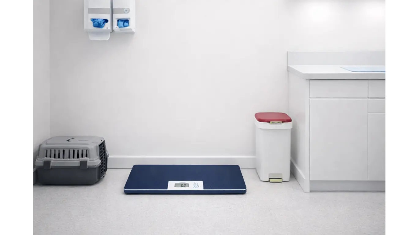 Balance vétérinaire professionnelle
