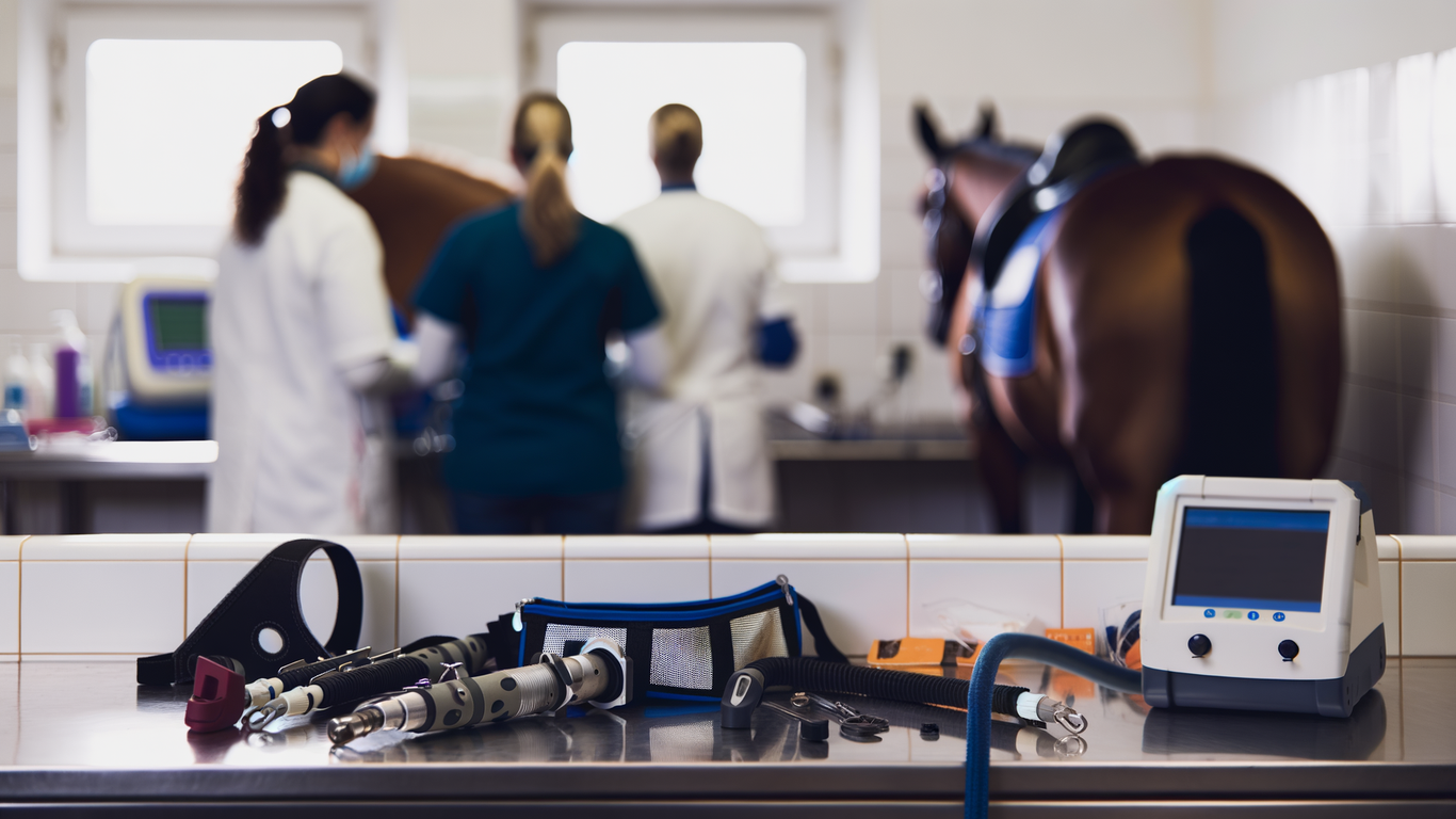 Sécurité des équipements pour chevaux : minimiser les risques pour le bien-être animal