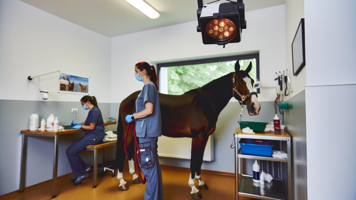 Les innovations dans les produits vétérinaires pour des soins équins avancés