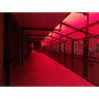 /eclairage-dedie-aux-equins/eclairage-equin-pour-veille-de-nuit-poulinage-et-recuperation-p-4004480.2-600x600.jpg