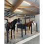 /eclairage-dedie-aux-equins/eclairage-led-pour-barns-et-boxes-equins-p-4004479.2-600x600.jpg