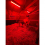 /eclairage-dedie-aux-equins/eclairage-pour-ecuries-p-4004482.1-600x600.jpeg