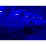 /eclairage-dedie-aux-equins/eclairage-pour-ecuries-p-4004482.2-600x600.jpeg