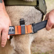 Garrot K9 Tourniquet – urgence vétérinaire et cynotechnique.