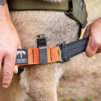 Garrot K9 Tourniquet – urgence vétérinaire et cynotechnique.