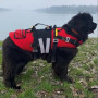 /harnais-colliers-et-laisses-pour-chiens/harnais-de-sauvetage-haute-securite-pour-chiens-flottabilite-et-robustesse-p-4004090.1-600x600.jpg
