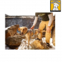 /harnais-colliers-et-laisses-pour-chiens/harnais-de-tractage-veterimat-securite-soutien-pour-chien-secours-p-4002007.2-600x600.jpg