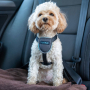 /harnais-colliers-et-laisses-pour-chiens/harnais-de-voiture-pour-chiens-p-4003738.1-600x600.jpg