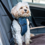 /harnais-colliers-et-laisses-pour-chiens/harnais-de-voiture-pour-chiens-p-4003739.1-600x600.jpg