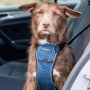 /harnais-colliers-et-laisses-pour-chiens/harnais-de-voiture-pour-chiens-p-4003739.2-600x600.jpg
