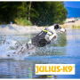 /harnais-colliers-et-laisses-pour-chiens/harnais-gilet-de-sauvetage-chien-julius-k9-3-en-1-neoprene-flottant-p-4003180.1-600x600.jpg