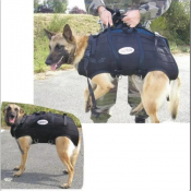Harnais Hélitreuillage Professionnel pour Chien d’Intervention