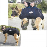 Harnais Hélitreuillage Professionnel pour Chien d’Intervention
