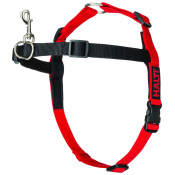 Harnais pour dressage et promenades