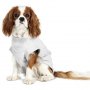 /harnais-de-reeducation-et-vetements-post-operatoires/body-de-protection-post-operatoire-pour-chien-p-4003123.1-600x600.jpg