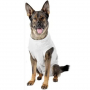 /harnais-de-reeducation-et-vetements-post-operatoires/body-de-protection-post-operatoire-pour-chien-p-4003123.2-600x600.jpg