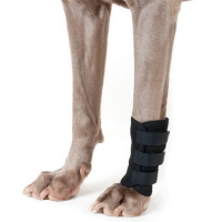 Guêtre antérieure en tissu thérapeutique pour chiens Guêtre antérieure en tissu thérapeutique pour chiens