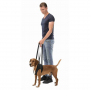 /harnais-de-reeducation-et-vetements-post-operatoires/harnais-d-aide-a-la-marche-pour-chien-soutien-pattes-avant-ou-arriere-en-neoprene-lavable-p-4003009.2-600x600.jpg