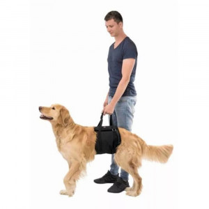 Harnais d’aide à relever pour chiens – Soutien et confort mobilité