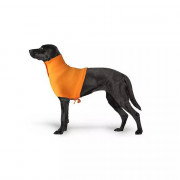 Protection de cou orange pour chiens ou chats