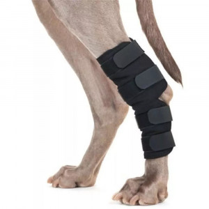 Protège jarret thérapeutique pour chien Back on Track – Soutien articulaire avec tissu céramique, ve
