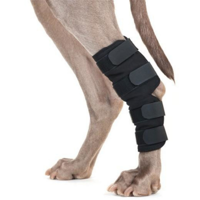 Protège jarret thérapeutique pour chien Back on Track – Soutien articulaire avec tissu céramique, ve