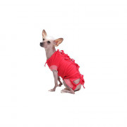 Tee-shirt post opératoire pour chats et chiennes