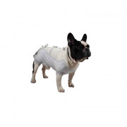 Tee-shirt post opératoire pour chiens mâles