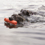 /jeux-pour-chiens/jouet-en-mousse-a-lancer-pour-chiens-p-4003660.1-600x600.jpg